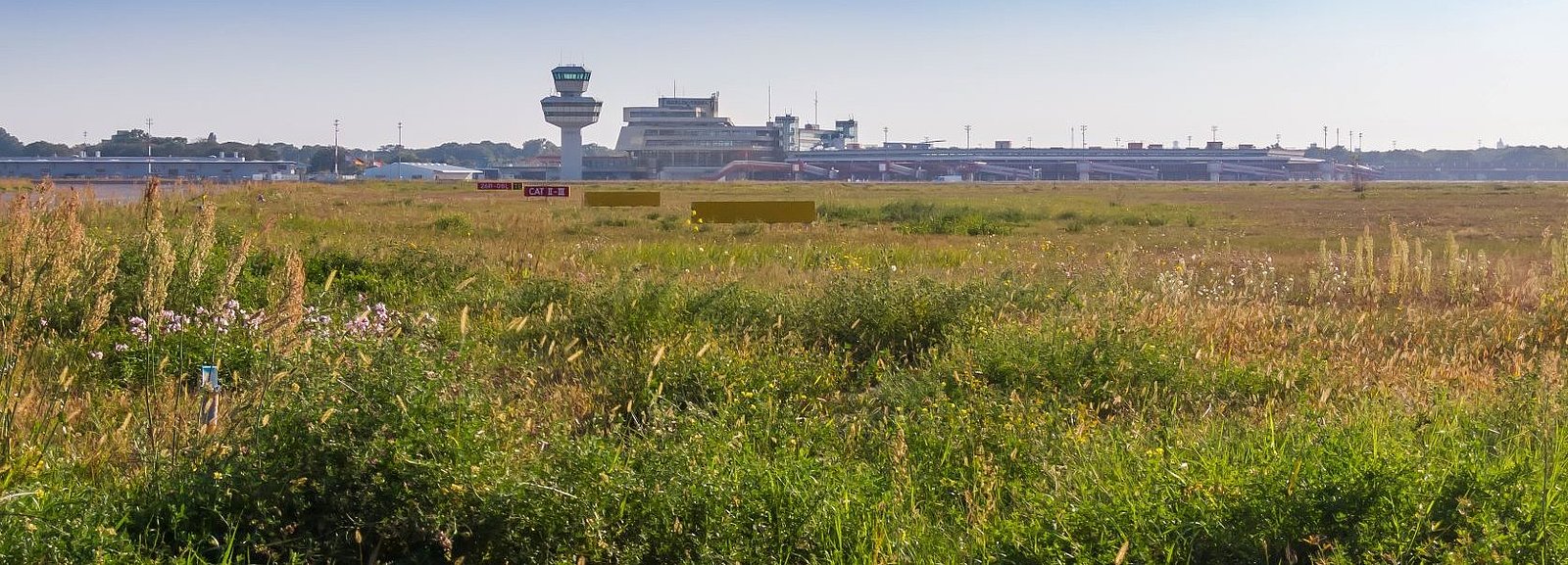 Grasflächen auf dem ehemaligen Flughafen Tegel und im Hintergrund der Tower und das Terminalgebäude