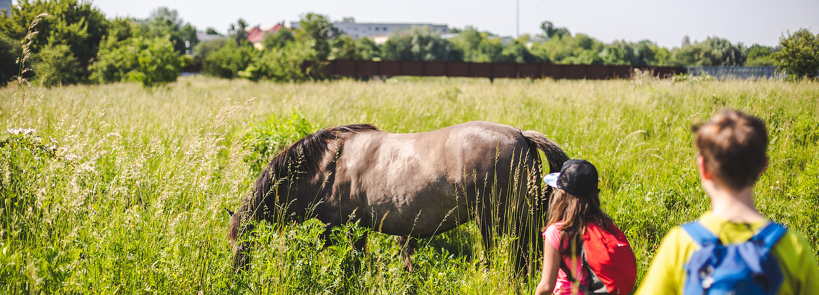 Zwei Kinder nähern sich einem Pferd auf einer Weide im Kienbergpark