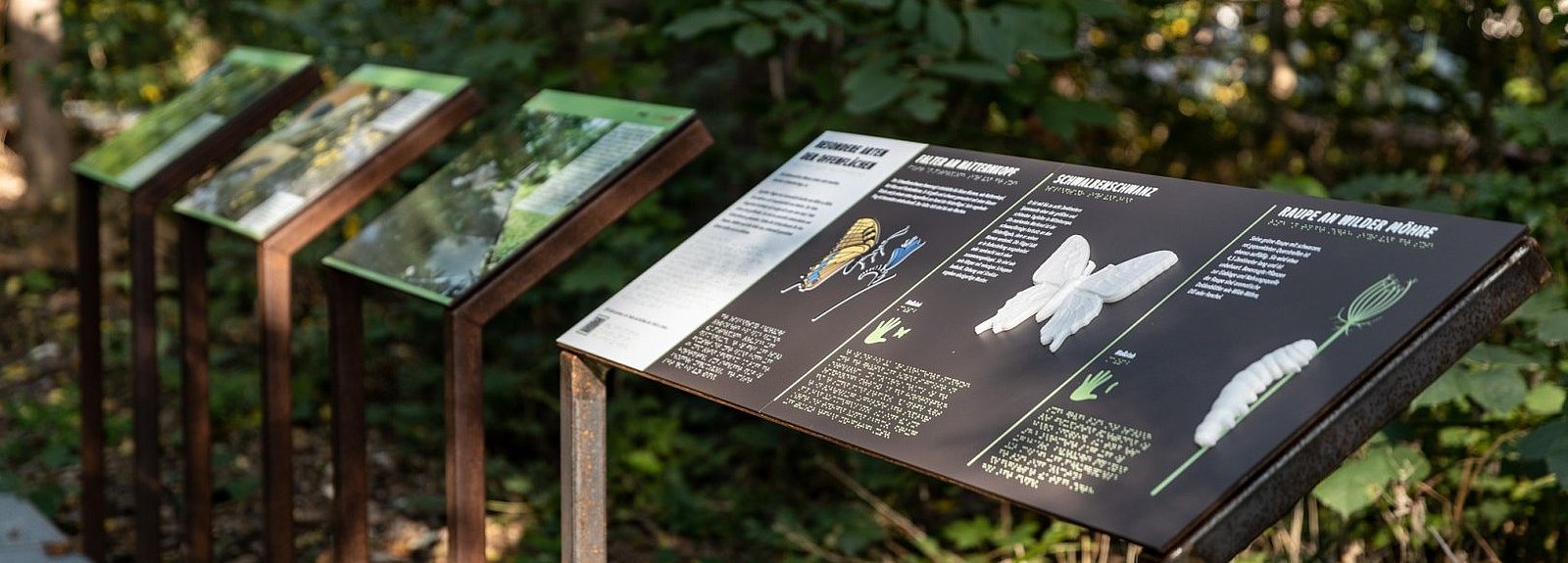 Taktile Ausstellungstafeln der Ausstellung "Bahnbrechende Natur" im Natur-Park Schöneberger Südgelände