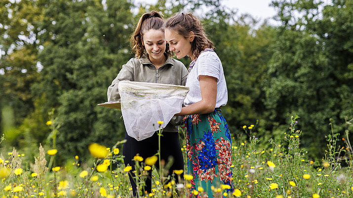 Zwei Frauen schauen sich an, was sie mit einem Schmetterlingsnetz gefangen haben